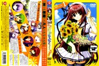 Shuffle - DVD 01.jpg